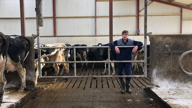 Video: Making life easier with the help of an up-and-over gate in Co. Cork