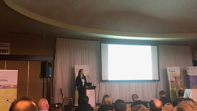 'Avoid dosing mature ewes for worms at all costs' - Orla Keane, Teagasc