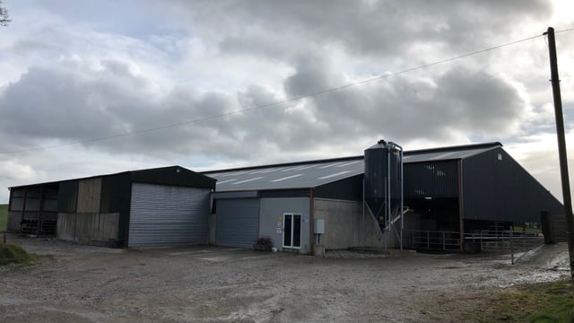 Buildings focus: A 16-unit parlour; drafting area; cubicles; and calf house under one roof