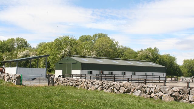 Equestrian property with 'purpose-built facility' up for grabs in Co. Galway