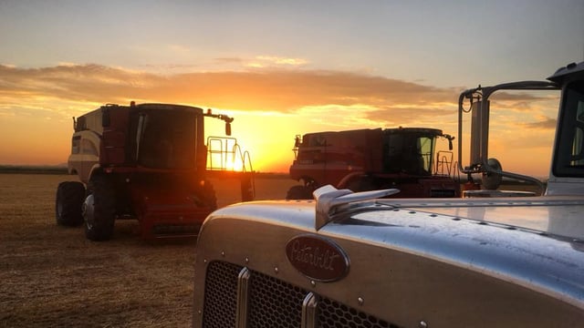 'Experience of a lifetime': Irish drivers wanted for combine crew...based in US