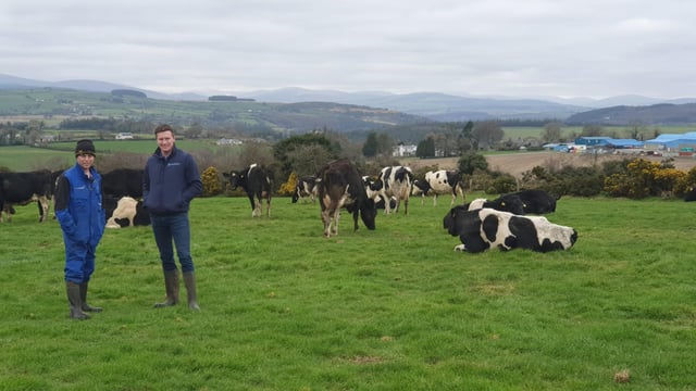 Spring phosphorus essential to set up grass growth for the season