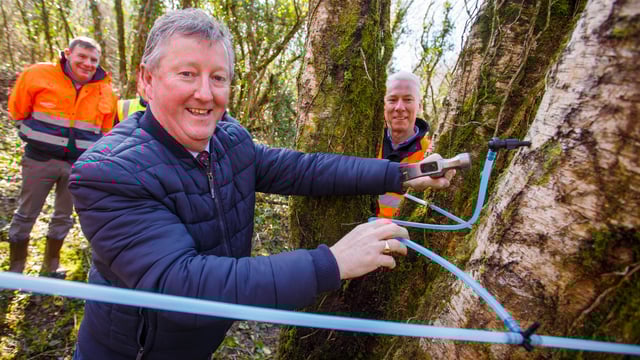 Minister Canney marks beginning of 'new harvest' for Bord na Móna
