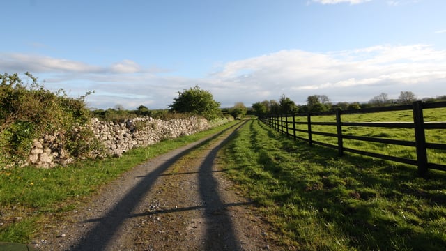 Looking for a stud? Galway has 2 on the market...