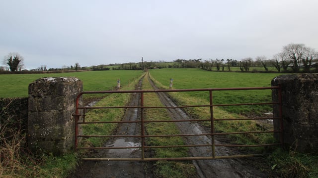 'Vulture fund must engage' following auction removal - IFA