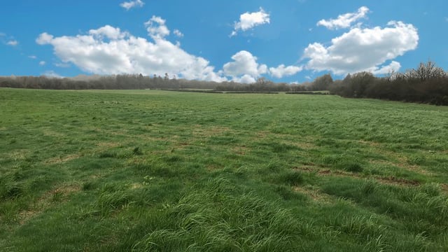 Looking for a change of scene? 18ac roadside holding may have development potential