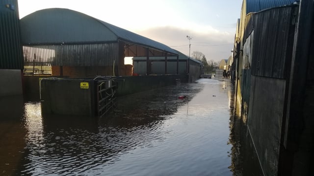 IFA calls for implementation of farmyard relocation scheme