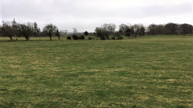 Residential farm in Galway guiding at €9,000/ac - in one division