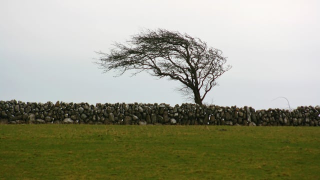 Weather warnings issued for 12 counties on Sunday