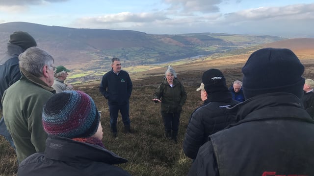 Information event hosted on future of hill farming in Dublin Mountains