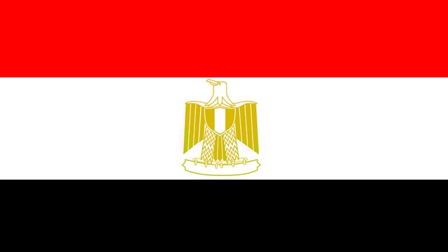 What is the potential for Irish live cattle exports to Egypt?