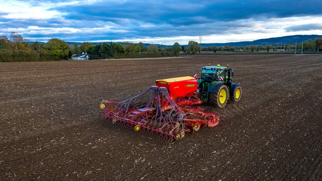 Cereal growers: Fancy a punt this autumn?