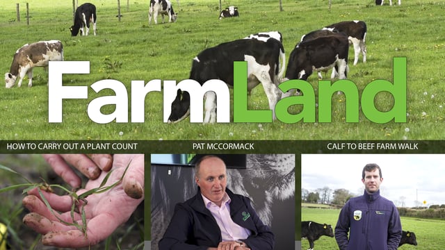 This week's FarmLand: Flooding, farm walks and how to carry out a plant count