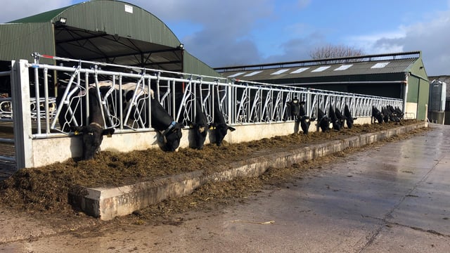 Dairy focus: Big changes afoot in Pallaskenry Agricultural College