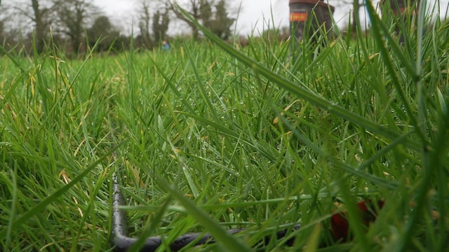 Grass budgeting: Points to consider after a good back end &amp; spring