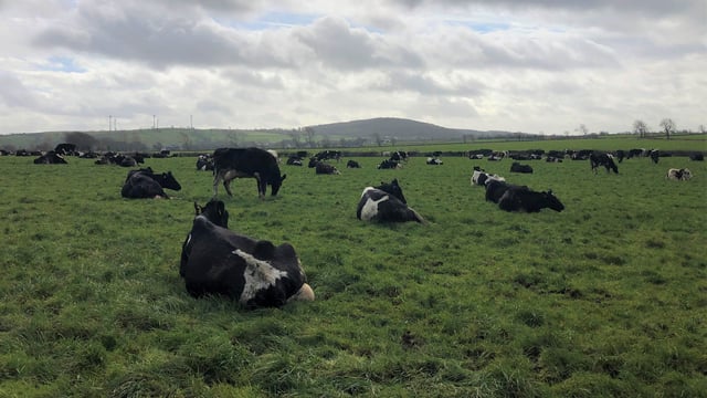 Met Éireann: Generally settled apart from blustery spell midweek