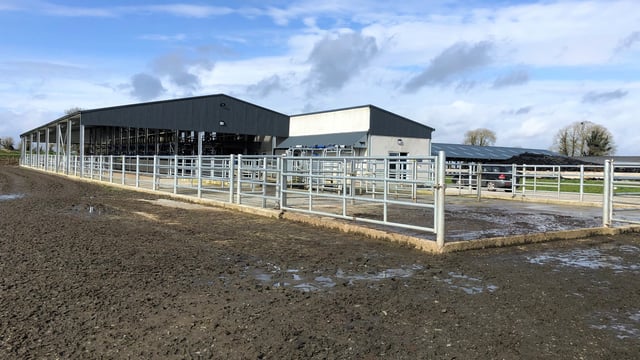 Dairy focus: 'Maximising comfort and minimising stress' with new facilities in Gurteen