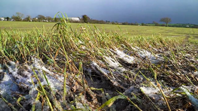 Mixed weather to continue with sleet and snow likely