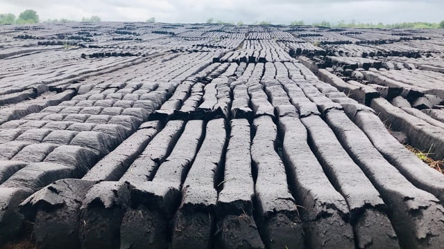 'People that cut turf to fuel homes must be allowed to continue tradition'