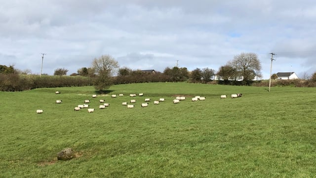 Latest coronavirus updates for farmers…as they happen [April week 4]