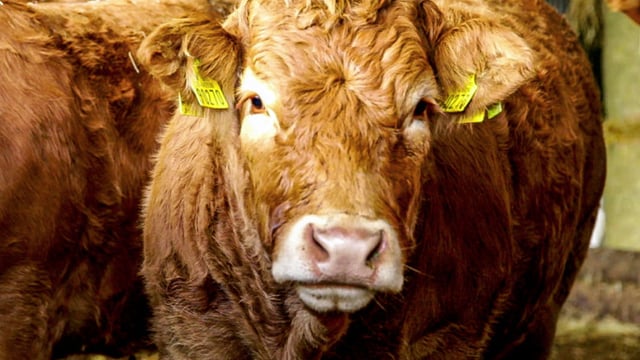 Letter to the editor: 'What if a farmer has to hire someone...to do his or her work?'