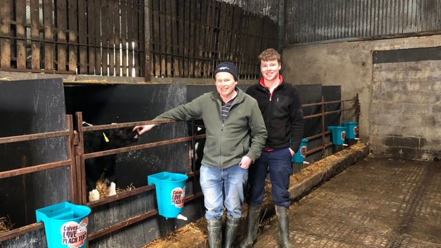 Are you tight for calf housing? Check out how this farmer overcame this problem