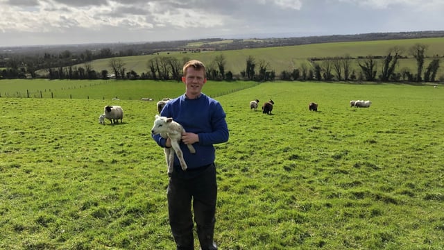 Sheep focus: 'It was a safer option - financially - investing in ewes rather than cattle'