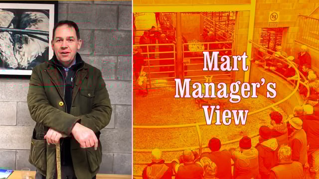 'Closure of marts has had a knock-on effect on factory prices' - Carnew's David Quinn