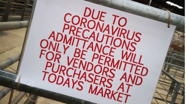 NI marts establishing protocols to facilitate reopening