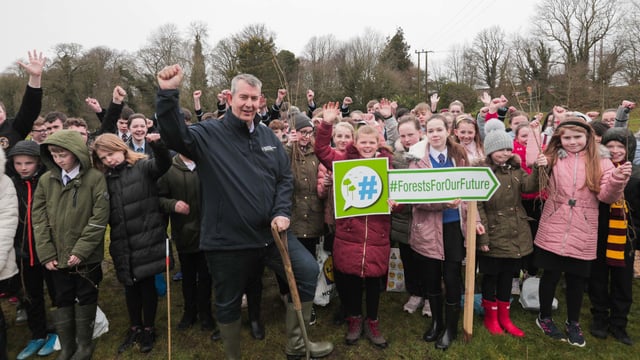 1,000 saplings planted as part of new DAERA programme