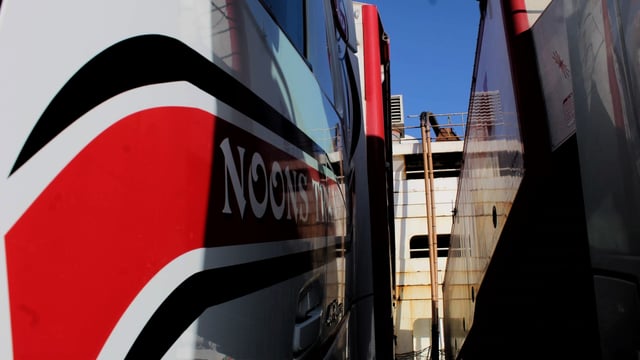3,000 bulls en route to Turkey