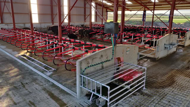 Buildings focus: Milking 69 cows in a brand new robotic-milking system in Co. Laois