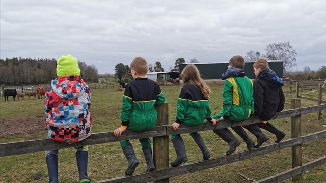 Home educating on the farm: Family share lessons learned