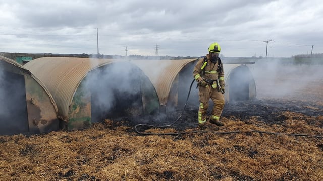 Farm fire started...by 'pigs and a pedometer'