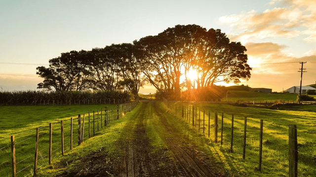 Want to have your say on future NI agricultural policy? Now's your chance