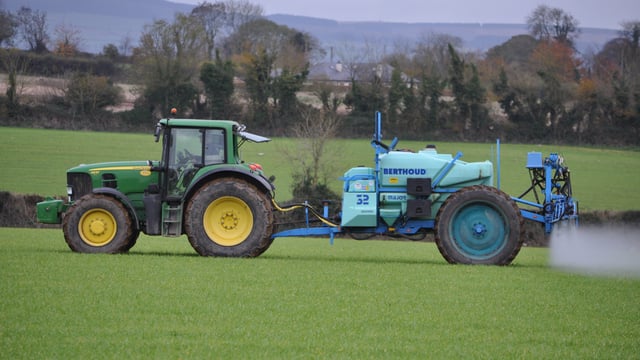 Winter cereals: Weed control options in March