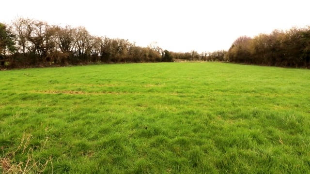 Non-residential farm on 70ac to go under the hammer in 'The Marble County'