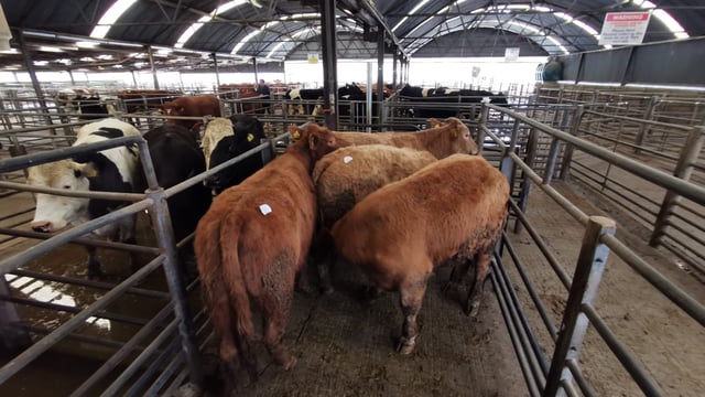 'All marts to close' - Taoiseach update on Covid-19