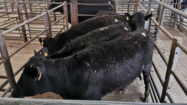 Aurivo Marts to resume limited services from Monday