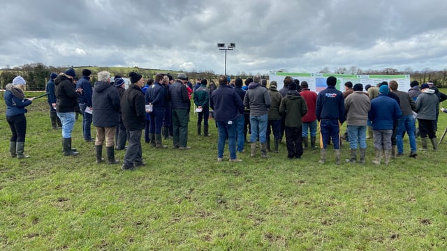 Large crowds descend on Carlow-based calf-to-beef farm for first walk of 2020