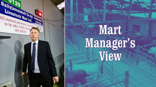 'The smaller sale aided the trade this week' - John Tevlin