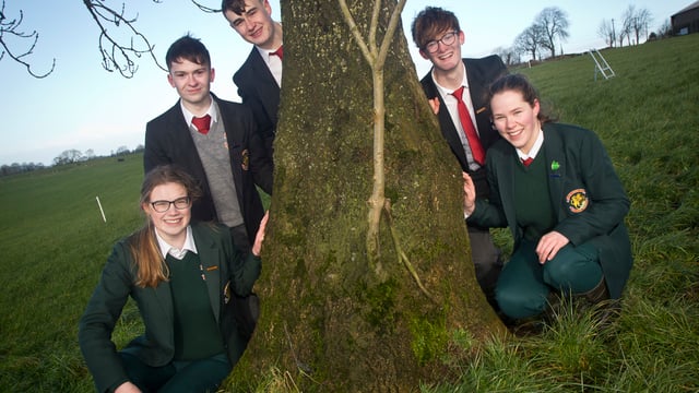 Schools comp winners: Irish Angus is 'the all-rounder'