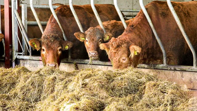 Farmers reminded of quality assurance requirement for SCEP