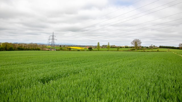 Budget 2023: Missed opportunity to 'drive on' tillage - IGGG
