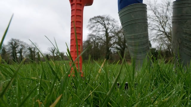 Dairy advice: Keeping ahead of grass to maintain quality
