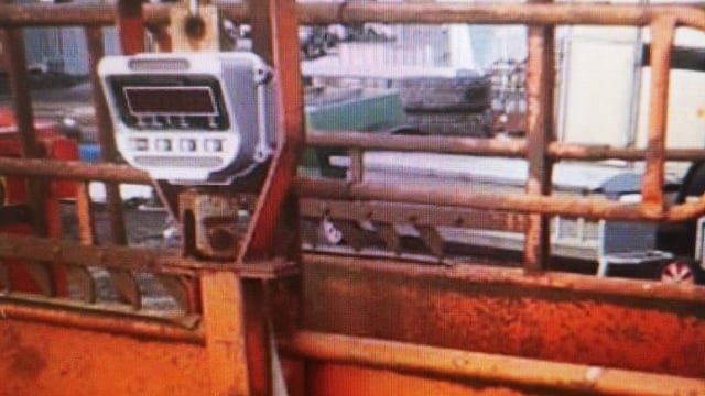 Investigations underway into theft of cattle scales