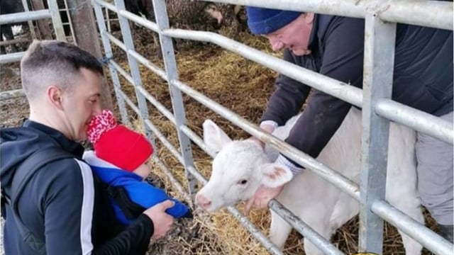 Fundraiser set up to provide life-saving treatment for farmer's son with rare disease