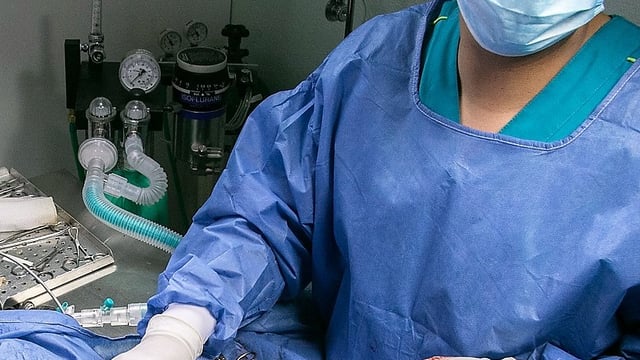 NI vets could be drafted into hospitals in Covid-19 continguency plan
