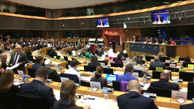 Agri MEPs endorse extension of current CAP rules for up to 2 years
