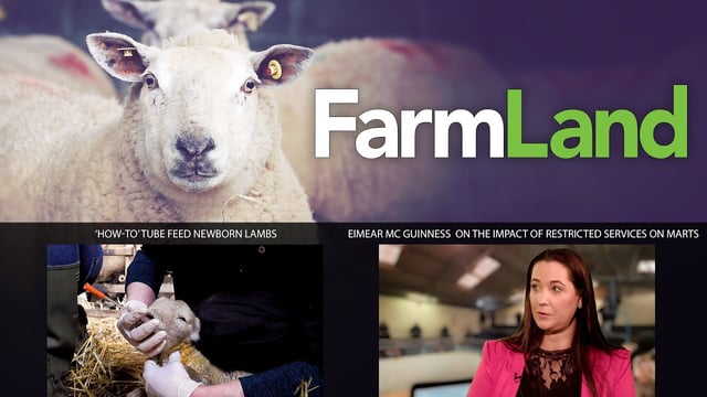 FarmLand 2nd April 2020